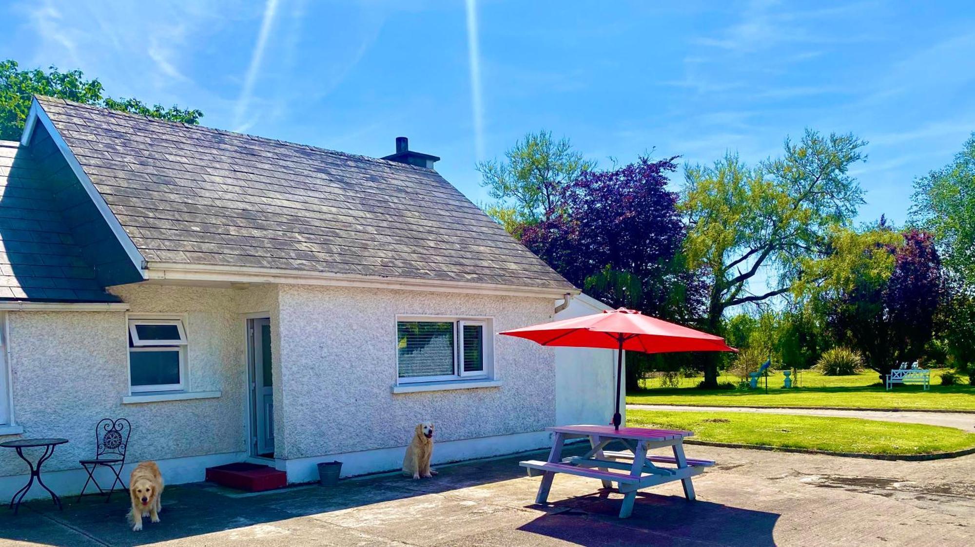 Nolans Organic Farm Villa Wexford Eksteriør bilde