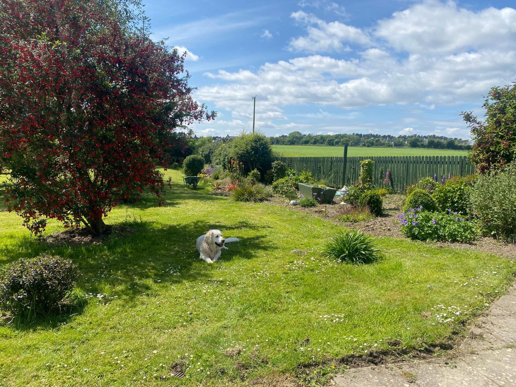 Nolans Organic Farm Villa Wexford Eksteriør bilde